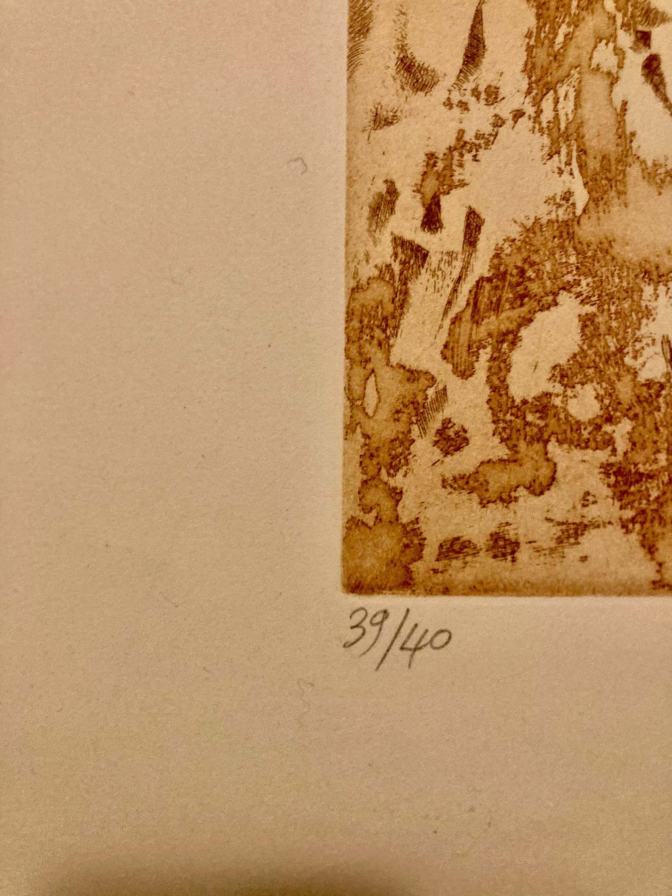 "Les MONTAGNES ENCHANTEES " de Claude Serre ( Circa 1975) Gravure originale, eau-forte et aqualinte, signée – Image 4