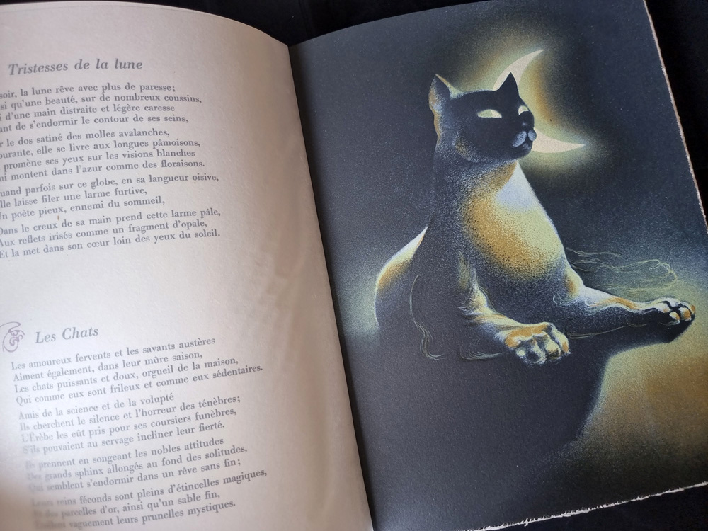 LES FLEURS DU MAL. Edition collection PREMIER TIRAGE LIMITE A 380 EXEMPLAIRES - LITHOGRAPHIES ORIGINALES DE CLAUDE SERRE. Club du livre 1982. – Image 12