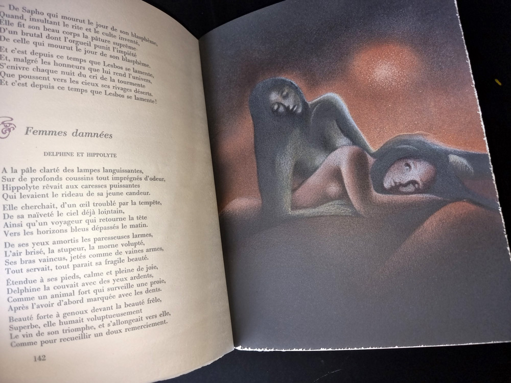LES FLEURS DU MAL. Edition collection PREMIER TIRAGE LIMITE A 380 EXEMPLAIRES - LITHOGRAPHIES ORIGINALES DE CLAUDE SERRE. Club du livre 1982. – Image 19