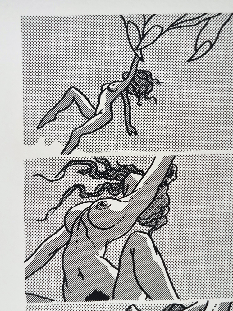 "pilule érotique" Tirage sur papier d'art 1981 d'après un dessin e BARBE André François (1936-2014) 60 x 40 cm – Image 16