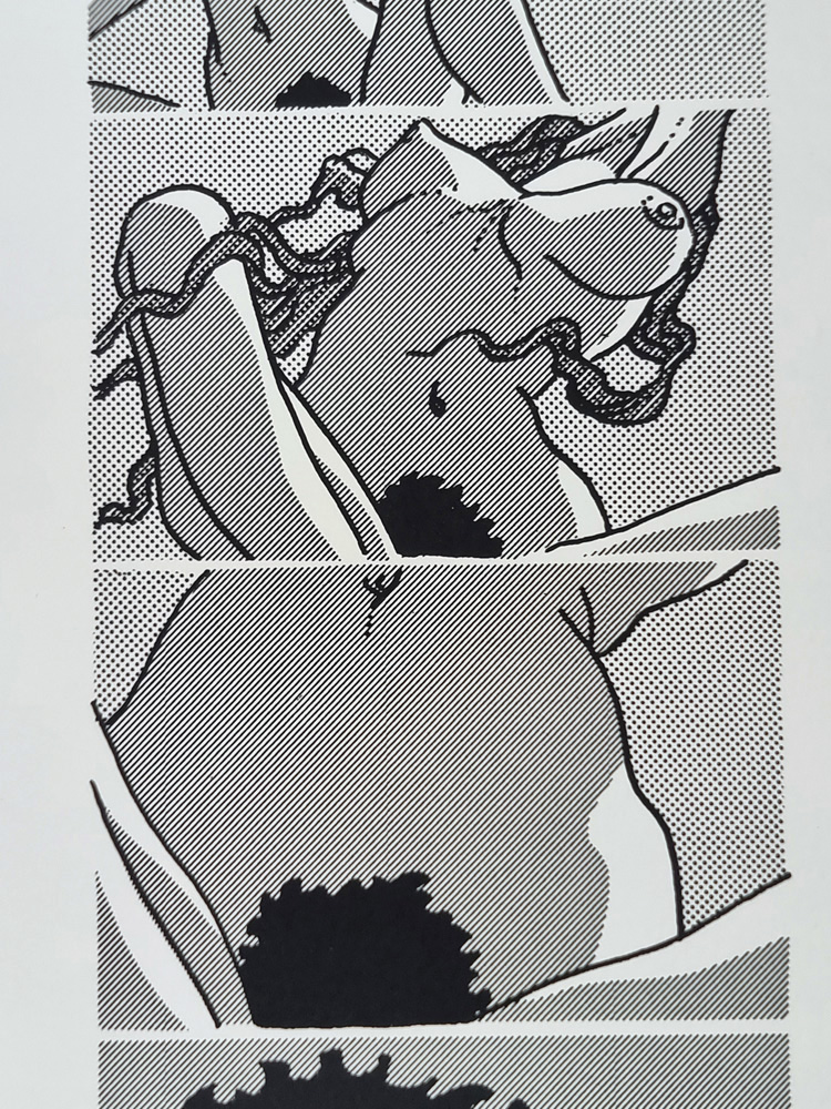 "pilule érotique" Tirage sur papier d'art 1981 d'après un dessin e BARBE André François (1936-2014) 60 x 40 cm – Image 17